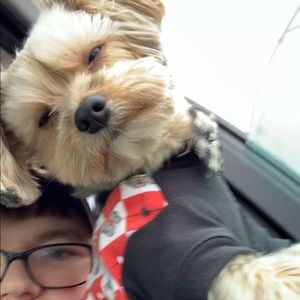 Meet your Posher, Brooke